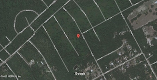 423 3rd St, Satsuma, FL 32189