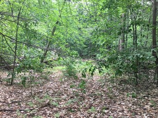 Lot 4 Bissell Rd, Chesterfield, MA 01096