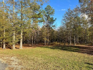Lot 12 River Stone Way, Eclectic, AL 36024