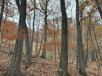 0 Great River Rd, Alma, WI 54610