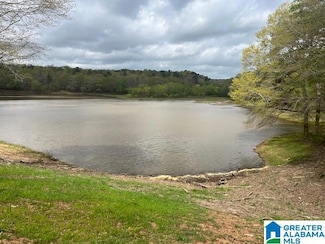 0 Watershed Rd Unit 46 Ac, Cragford, AL 36255