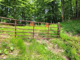 TBD Elkhorn Run, Wolf Summit, WV 26426