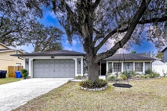 3004 Rosebud Ln, Brandon, FL 33511