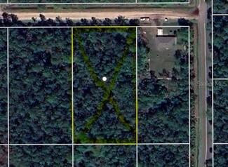 4215 Wanda St, Hastings, FL 32145