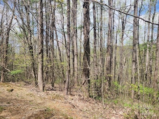 174 Mount Hebron Rd Unit 36, Hendersonville, NC 28739