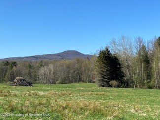 132 E Center Hill Rd, Dallas, PA 18612