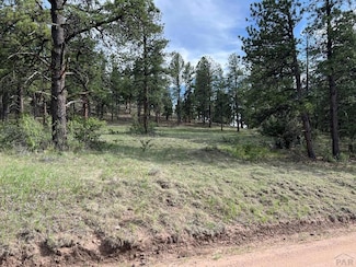 146 Shawnee Trail, Westcliffe, CO 81252