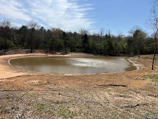 TBD Woodchuck Rd, Pittsburg, TX 75686