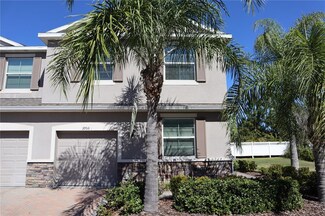 3953 Claybrook Dr, Wesley Chapel, FL 33544