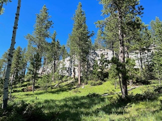 Lot 2 Boles Canyon Rd, Lead, SD 57754