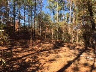 1495 Laurel Branch Church Rd, McIntyre, GA 31054