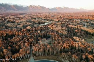 4363 E Harman Loop, Fishhook, AK 99654
