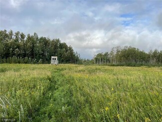 TBD 150th Ave NW, New Solum Township, MN 56738