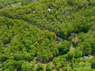 99999 Holland Dr Unit Lot 25, Black Mountain, NC 28711