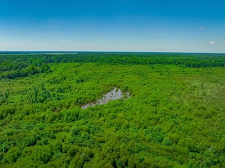 0 Canetuck Rd, Canetuck, NC 28435