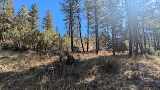 0 Canary Dr Unit 5 220190298, Bonanza, OR 97623