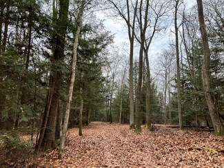 000 Laurel Rd, Piney Township, PA 16255