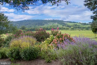 18781 Foggy Bottom Rd, Bluemont, VA 20135