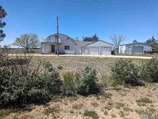 494 S Roosevelt Road X, Portales, NM 88130