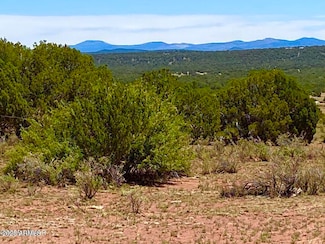 9780 Texas Lane 39 89 Acres --, Show Low, AZ 85901