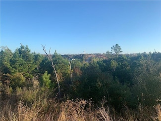 Lot 3 Kainalu Ln, Bastrop, TX 78602