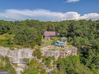 7896 Old State Rd, Menlo, GA 30731