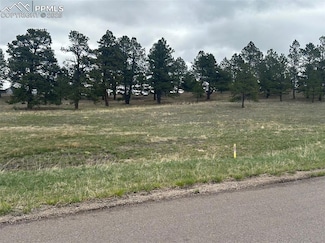 11072 Mosey Trail, Colorado Springs, CO 80908