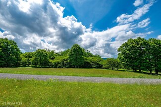 18 Pointy Knob Rd, Dry Fork, WV 26260