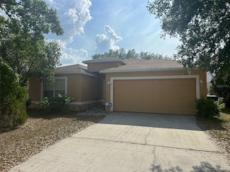 5030 Silver Thistle Ln, Saint Cloud, FL 34772
