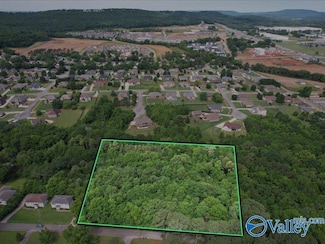 3.8 Acres Townsend Dr SE, Huntsville, AL 35811