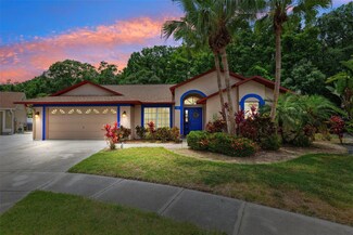 6505 Broadwing Ct, Tampa, FL 33625