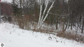00 N M-22, Frankfort, MI 49635