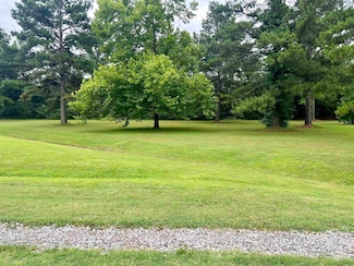0000 Mount Side Dr Unit Vacant Lot next to 1, Pangburn, AR 72121
