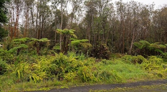 0 Road 12 Unit 709654, Volcano, HI 96785