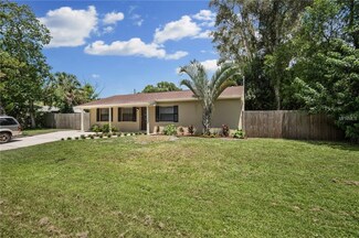 4427 W Lawn Ave, Tampa, FL 33611