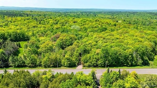 TBDA Lake Annie Rd, Hancock, MI 49930