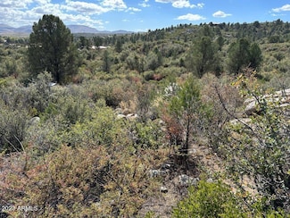 17926 S Pinon Ln Unit M5, Peeples Valley, AZ 86332