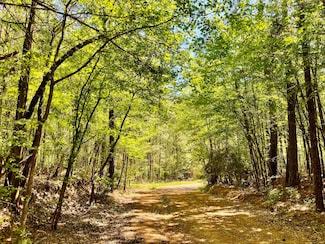 889 Fuller Cemetery E-2 Rd, Minden, LA 71055