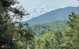 LOT 72 Fires Creek Cove, Hayesville, NC 28904