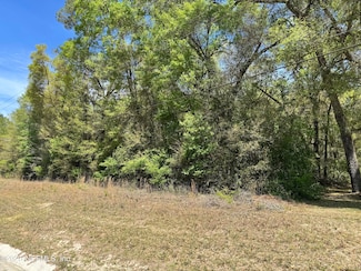 0 State Road 21 Ln Unit 2078592, Middleburg, FL 32068