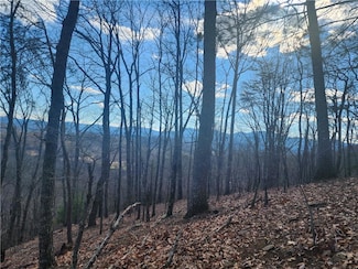 000 Trackrock Gap Rd, Blairsville, GA 30514