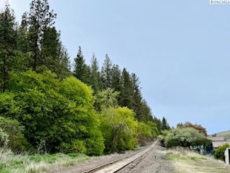 TBD N Perkins Ave, Colfax, WA 99111