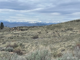 12345 McLaughlin Canyon Rd, Tonasket, WA 98855