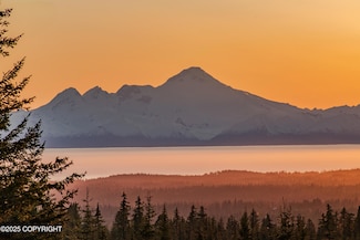 40561 Misty Ridge Rd, Homer, AK 99603
