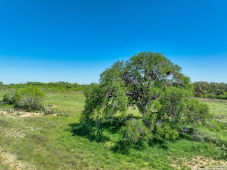434 W Tank Hollow Rd, Poteet, TX 78065