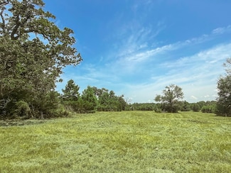 19822 Megan St, Bedias, TX 77831