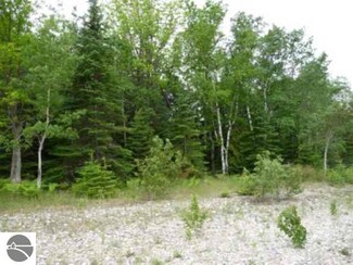 0 N Forest Beach Shores Rd Unit 221, Northport, MI 49670