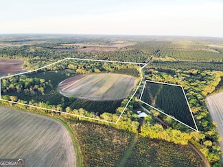Tbd Cumbie Rd, Climax, GA 39834