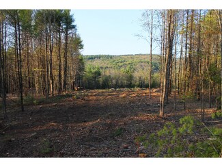 Lot 98-1 Mccollum, New Boston, NH 03070