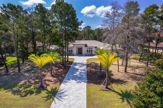 15124 Pendio Dr, Montverde, FL 34756
